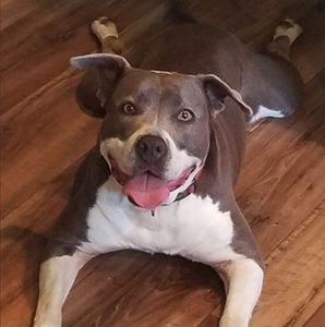 Meet your Posher, Amber